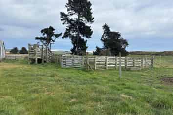  Blacks Road, Palmerston