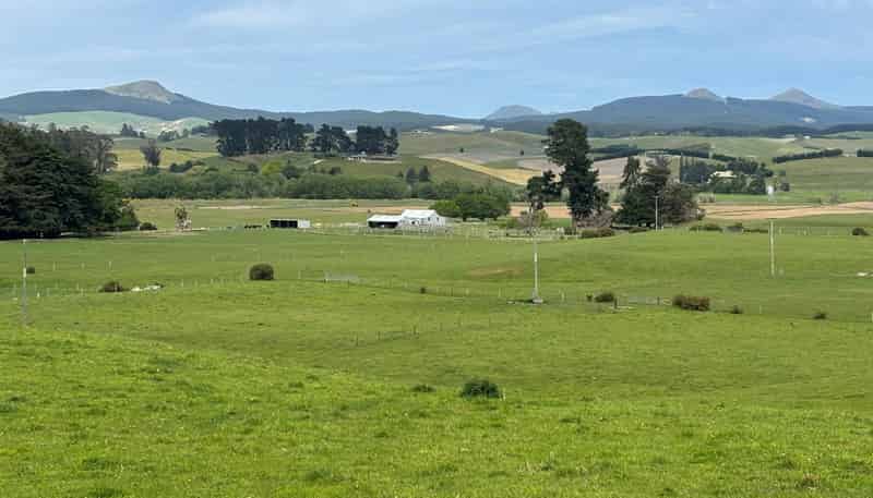  Blacks Road, Palmerston