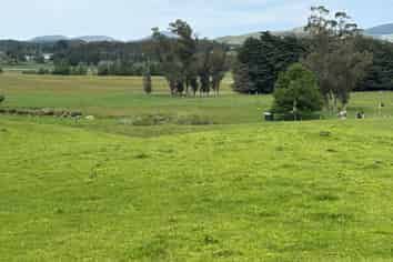  Blacks Road, Palmerston