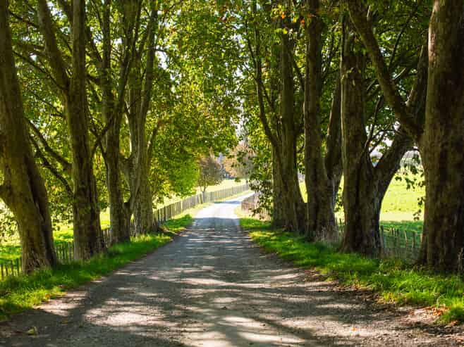 767 Wharerata Road, Manutuke