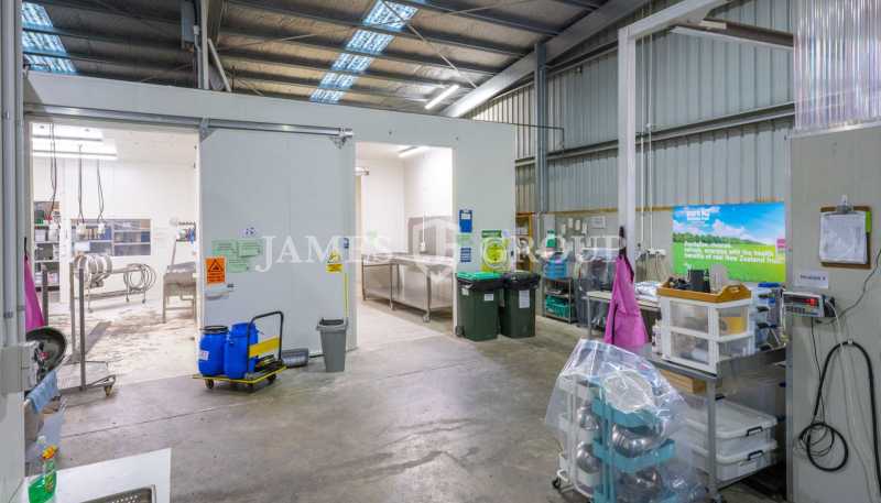 Unit 1A/23 Kitchener Road, Waiuku