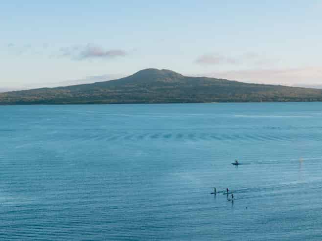 20 Springcombe Road, St Heliers