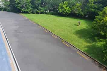 8/89 Tristram Street, Hamilton Central