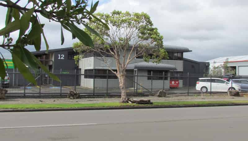 12 Mihaere Drive, Roslyn