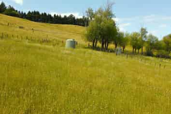 59C Totara Valley Road, Thames