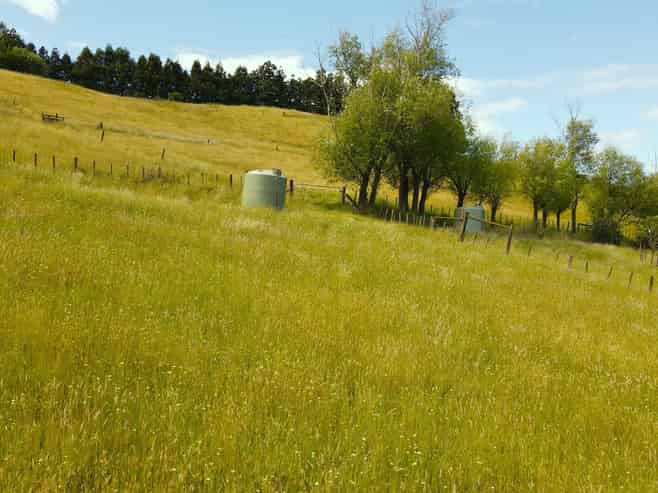 59C Totara Valley Road, Thames