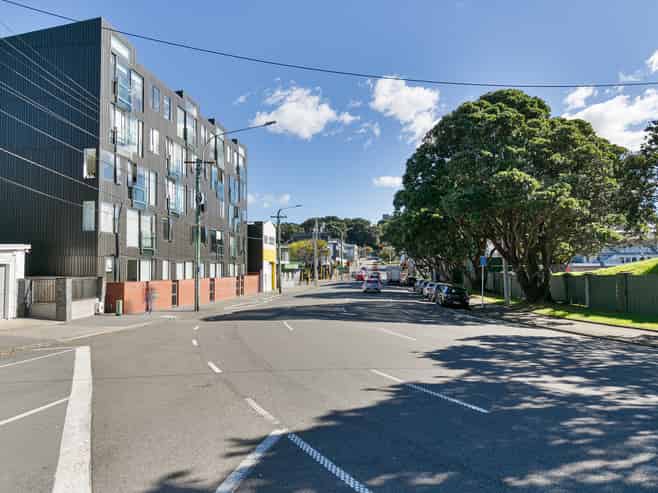 3G/21 Rugby Street, Mount Cook