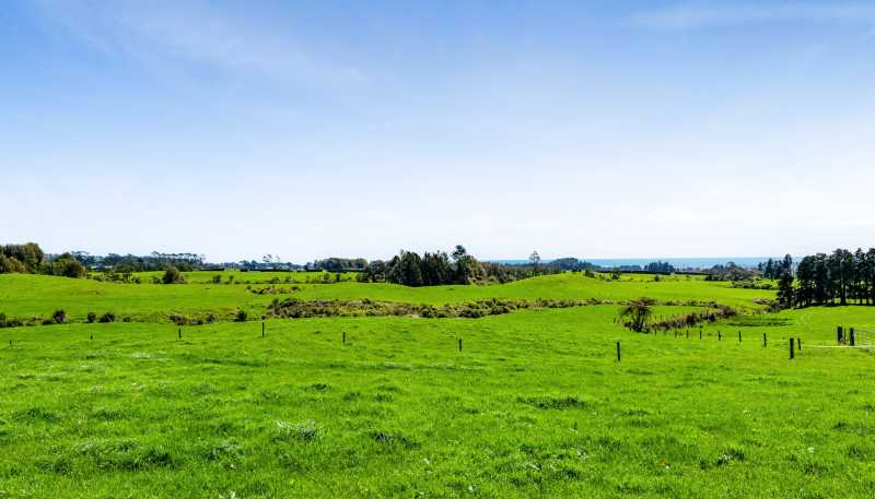 539 Kent Road, Korito