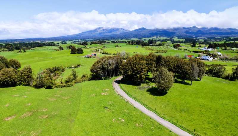539 Kent Road, Korito