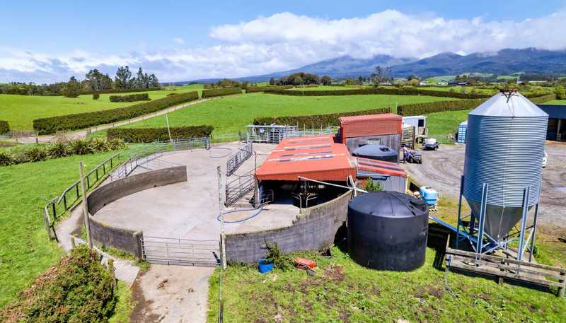 539 Kent Road, Korito