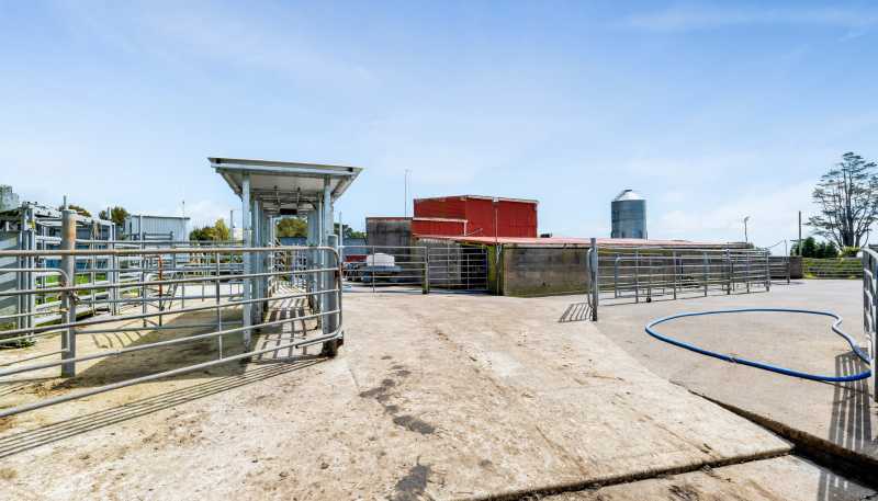 539 Kent Road, Korito