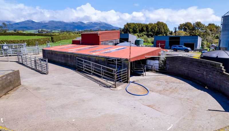 539 Kent Road, Korito