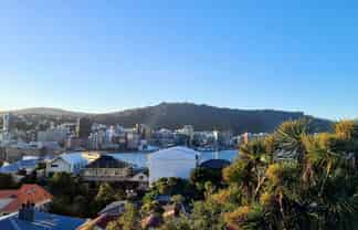 7 McIntyre Avenue, Mount Victoria