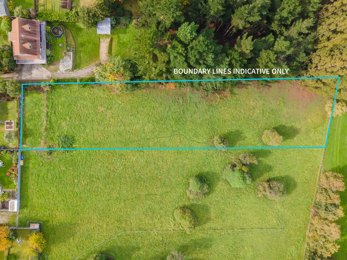 Almost 4000 m² with Golf Views - Widok 2