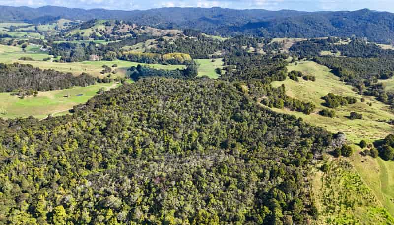 133 Te Ranga Road, Kaeo