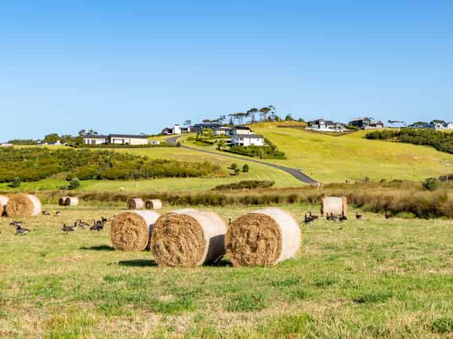 124 Ahumoana Road, Hibiscus Coast Surrounds