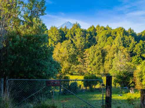 0n Umutekai Road, Hillsborough