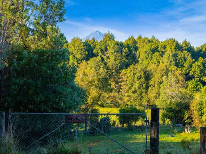 0n Umutekai Road, Hillsborough