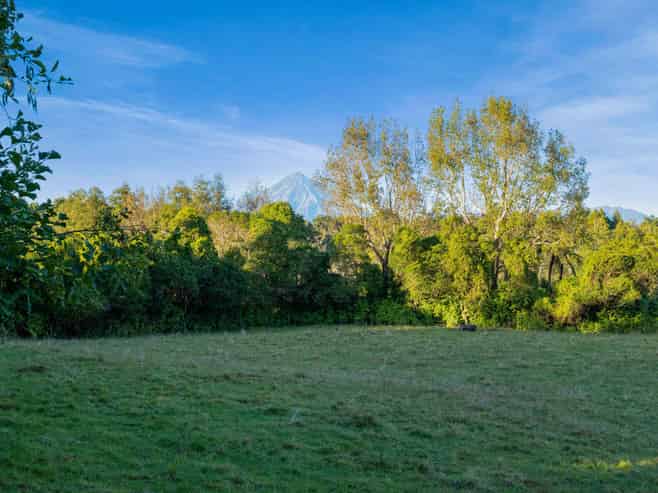 0n Umutekai Road, Hillsborough