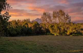 0n Umutekai Road, Hillsborough