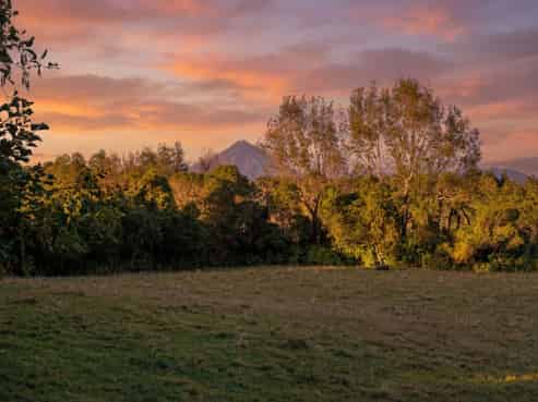 0n Umutekai Road, Hillsborough