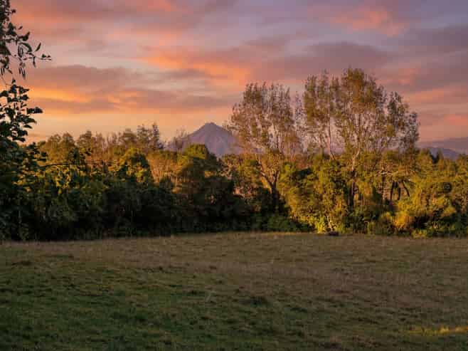 0n Umutekai Road, Hillsborough