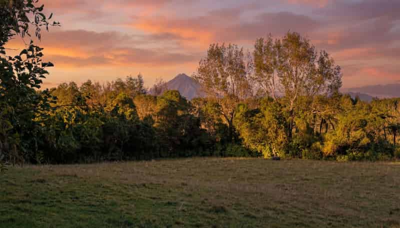 0n Umutekai Road, Hillsborough