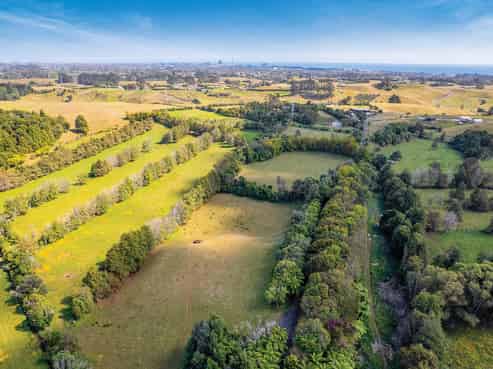 0n Umutekai Road, Hillsborough