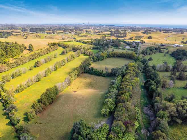 0n Umutekai Road, Hillsborough