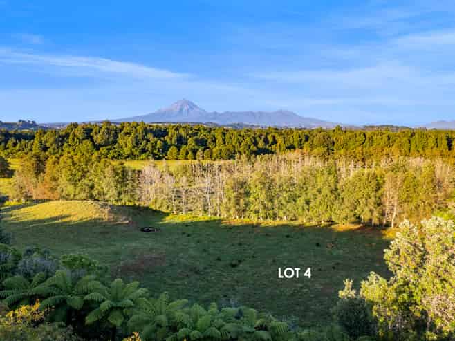 0n Umutekai Road, Hillsborough