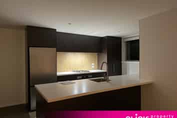 1/33  Melbourne Street, South Dunedin