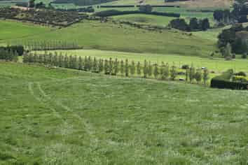 1551 Owaka Valley Road, Owaka Valley