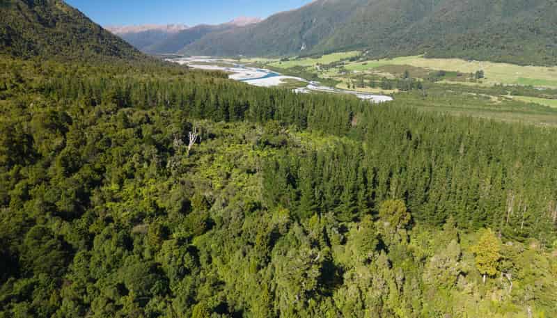  Bell Hill Road, Inchbonnie