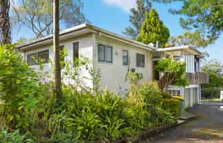 113 Ellicott Road, Nawton