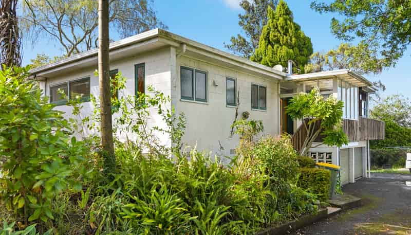 113 Ellicott Road, Nawton