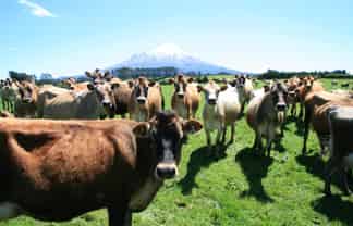 2105 and 2 Hastings Road, Stratford