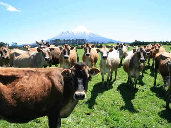 2105 and 2 Hastings Road, Stratford