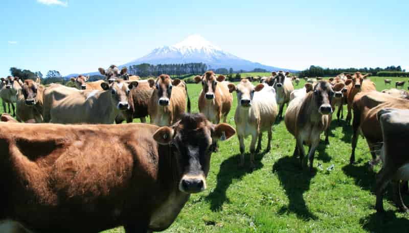 2105 and 2 Hastings Road, Stratford