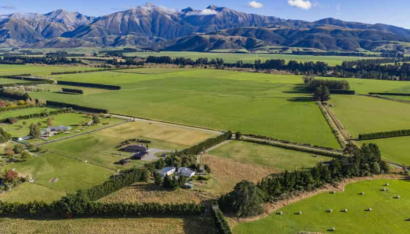 70 Annavale Road, Springfield