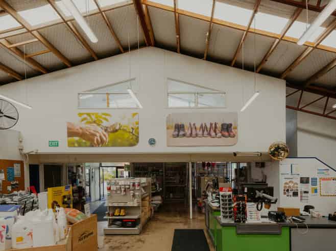 Set-and-forget investment opportunity