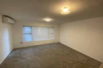 1/22A Te Aroha Street, Hamilton East