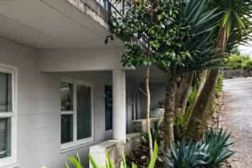 1/22A Te Aroha Street, Hamilton East