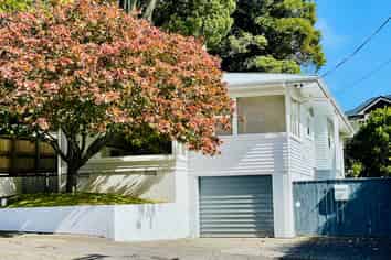 88 Carrington Street, Lower Vogeltown