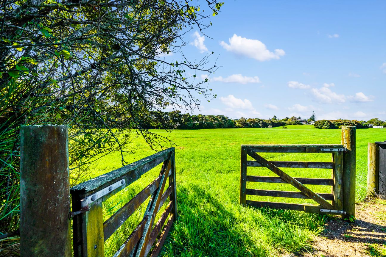 Exceptional Freehold Buying in Remuera – pohled 4