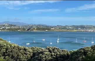 11 Rewa Road, Hataitai