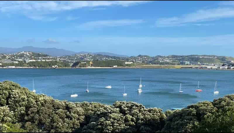 11 Rewa Road, Hataitai