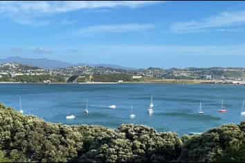 11 Rewa Road, Hataitai