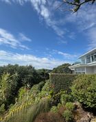 Mortgagee tender - 116A Vauxhall Road, Narrow Neck, Narrow Neck, North Shore City image 5