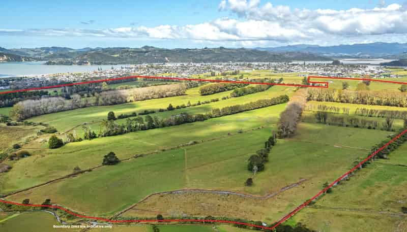 55 and 92 Racecourse Road, Whitianga