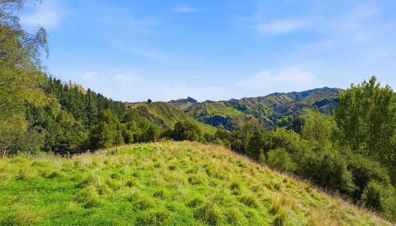 3499 State Highway 4, Kakatahi